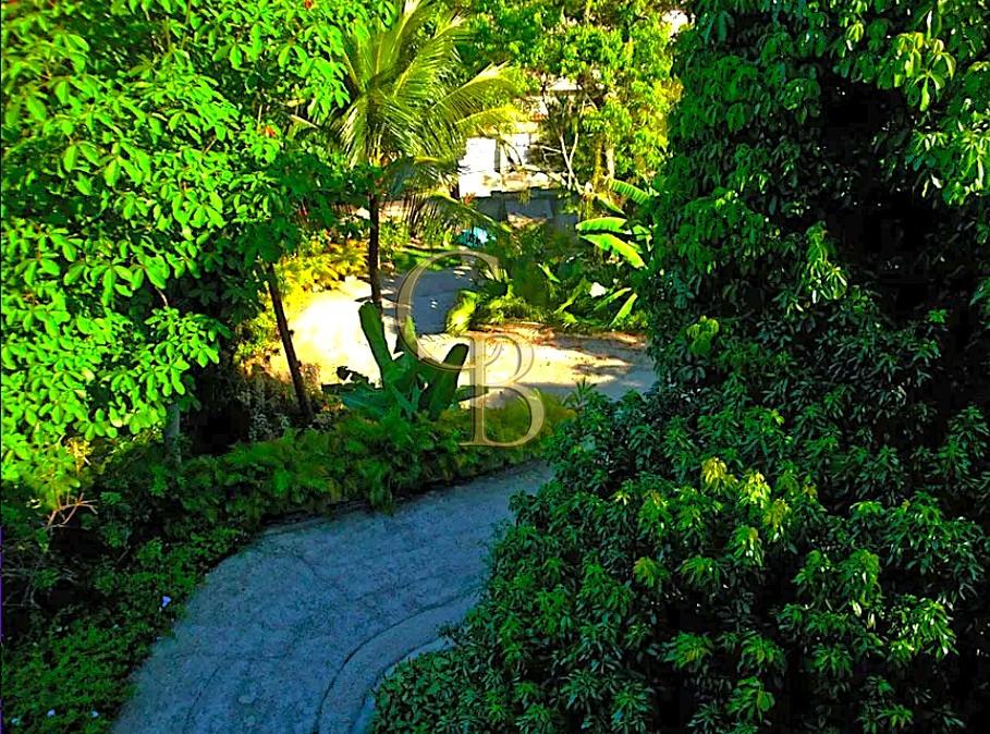 CASA JARDM BOTÂNICO VENDA