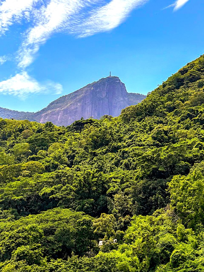 APARTAMENTO LAGOA VENDA