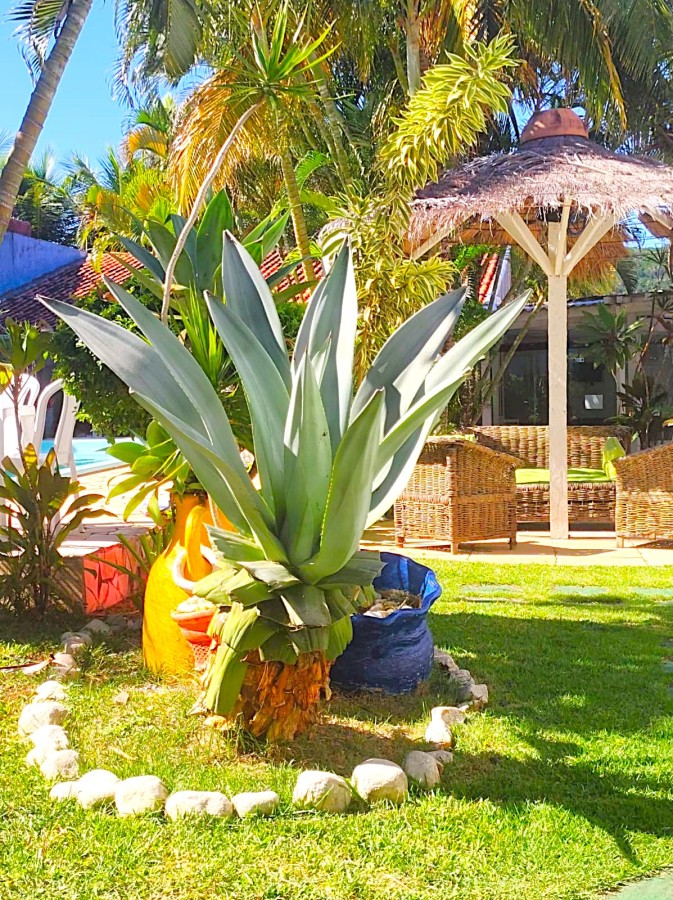 POUSADA BÚZIOS GERIBÁ VENDA
