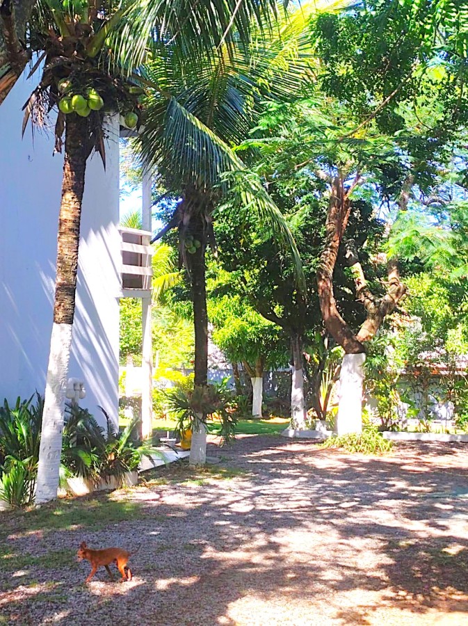 POUSADA BÚZIOS GERIBÁ VENDA